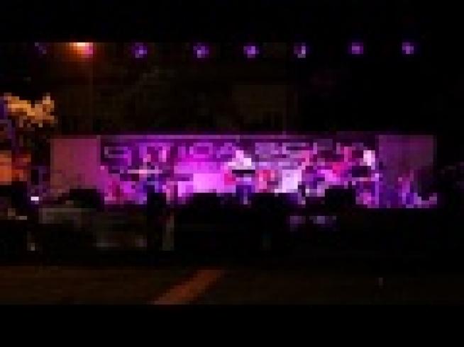 Mercanti in Fiera - Isola della Scala (VR)