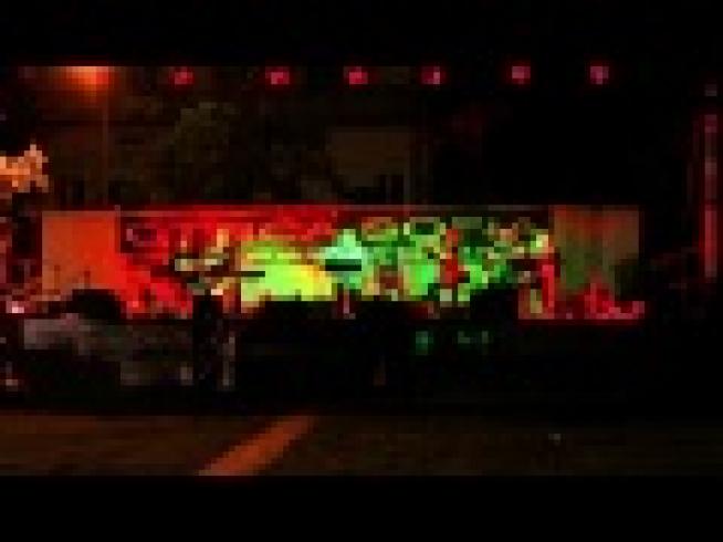 Mercanti in Fiera - Isola della Scala (VR)